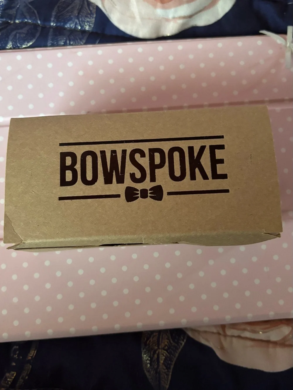 Bowspoke fun batman